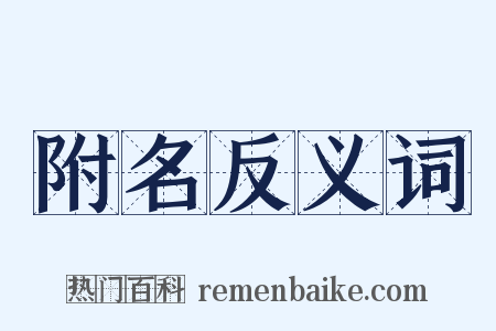 附名反义词是什么意思的图片
